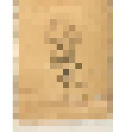 Литография. "Портрет художника Ф.Ф. Федоровского"