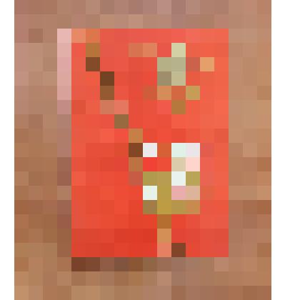 Документ Хабарова Виталия Васильевича, удостоверяющий то, что он был сфотографирован у святыни советского народа - Знамени Победы