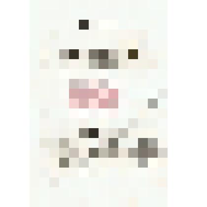 Письмо     Л.     Плюща         Николаю Михайловичу Мартьянову с жалобой на грубость    с    учениками    библиотекаря Соколова