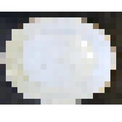 Тарелка пирожковая (блюдо)