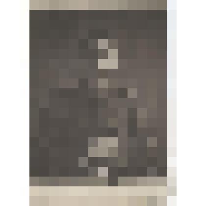 Фотография. Левкович Борис Игнатьевич