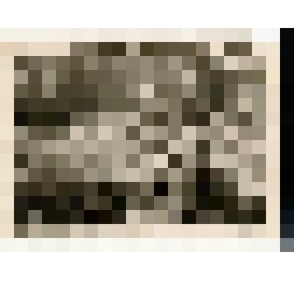 Ф/чб. Банниковы Юрий, Мария с дочкой Инной и родственниками. Ленинабад, Таджикистан. ~ 1958