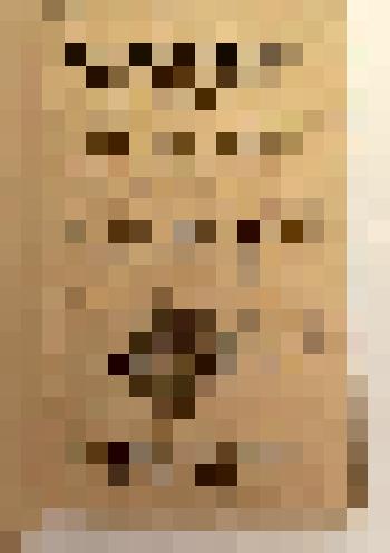 Конволют. 1) Книга на латинском языке. Bibliographia historico-politico-philologica curiosa... - Germanopoli [Frankfurt ad M.], 1677; 2) Acta litteraria ex manuscriptis eruta atque collecta cura Burcardi Gotthelffii Struvii. - Ienae: Litteris Christoph. K