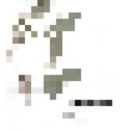 Гербарий
Пустырник сибирский