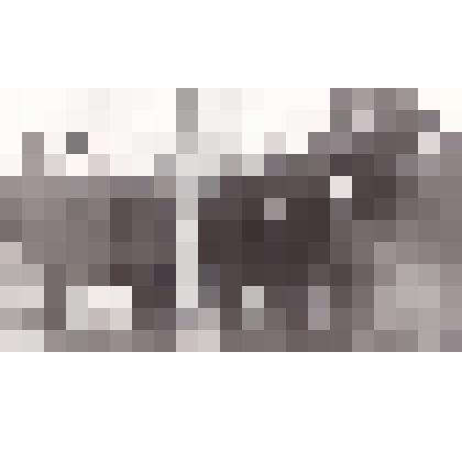 Фотография "Участники партизанского слета. Поселок Калевала"