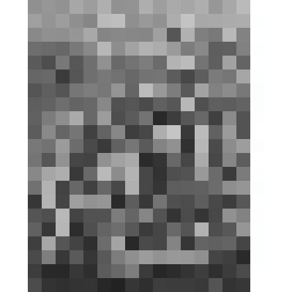 Три богини готовятся к суду Париса