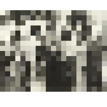 Фотография И.М. Мызгин на Международном слете студентов и молодежи в Москве 1957 г