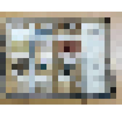 Минерал. 
Кристаллы турмалина в горной породе.
 Из наглядного пособия "Коллекции физических признаков и свойств минералов". Серия IV. Россия, г. Москва, "Природа и Школа", нач. ХХ в