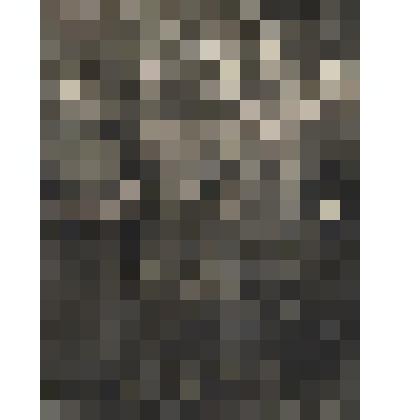 Фото черно-белое "К.Н.Дудинова (крайняя слева) - нарофоминка, почетный донор СССР, среди подруг