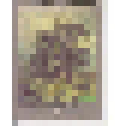 Марка почтовая с изображением картины  Шишкина " Дубы "