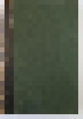 Энциклопедия Брокгауза и Эфрона. Том 17 (Внутри т.IX)