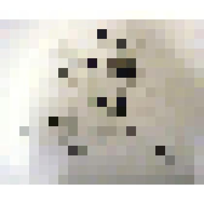 Гравюра. Портрет девушки