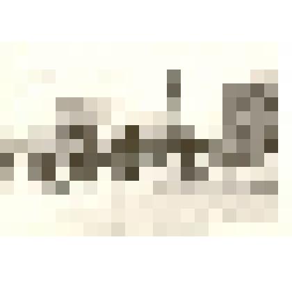 Фотография: демонстрация 1 мая 1961 г. в г.Камне-на-Оби Алтайского края