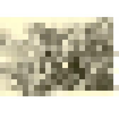 Фотография: праздник борозды по случаю окончания сева в Каменском районе Алтайского края. За трибуной секретарь Каменского горкома КПСС Буераков