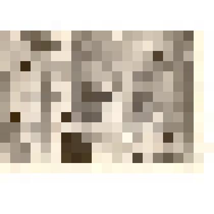 Фотография: посетители Каменского краеведческого музея у нового стенда "Великая Отечественная война"