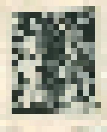 Портрет С. Есенина