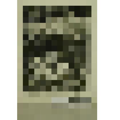 Набег Кунчука