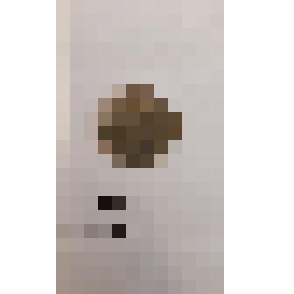 Монета 10 копеек юбилейная