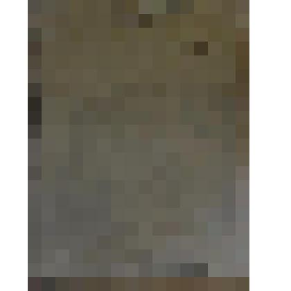 «Портрет девочки»