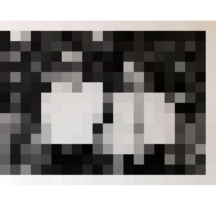 Фотография. Рябинин К.А. и Десенко А