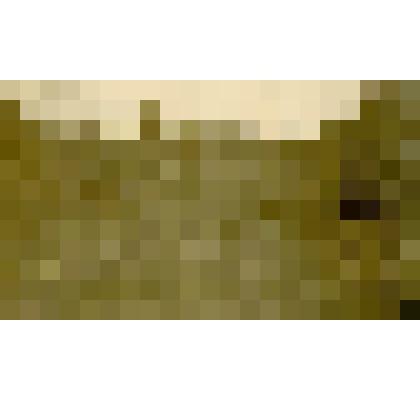 Фотография. Якуты на пашне