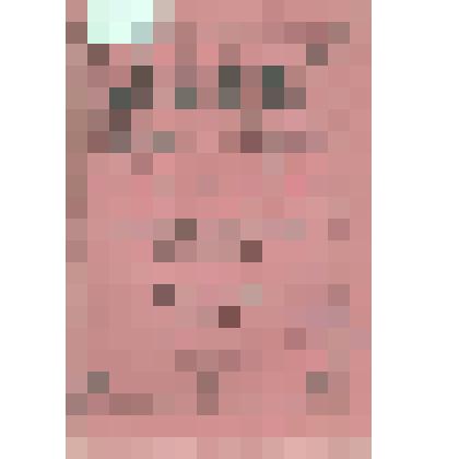 Журнал. Ежемесячные литературные и популярно-научные приложения к журналу "Нива". № 8. Август. Издание Т-ва А.Ф. Маркс. - СПб.: Типография А.Ф. Маркса, 1913г