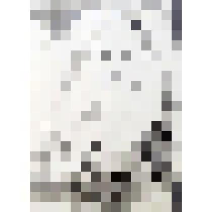 Птицы на воде