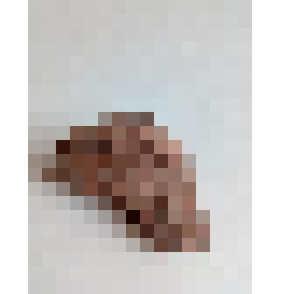 Фрагмент раннегончарной керамики