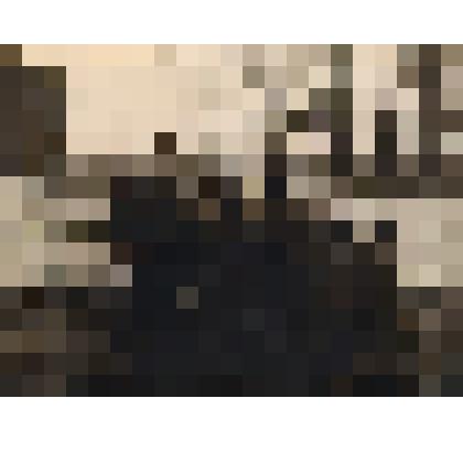 Фотография ч/б "Педагоги Суксунского педучилища на открытии памятника на Песчаной горе в октябре 1967 г."