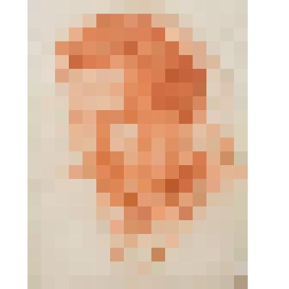 Этюд головы