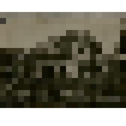 Фотография из фотоальбома. Соврудники 1927-1929гг. - тайга, рабочие, драги