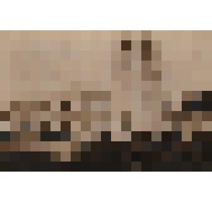 Карточка почтовая с фото Нового дворца в Ливадии