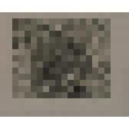 Гравюра. Портрет А.Писаренко