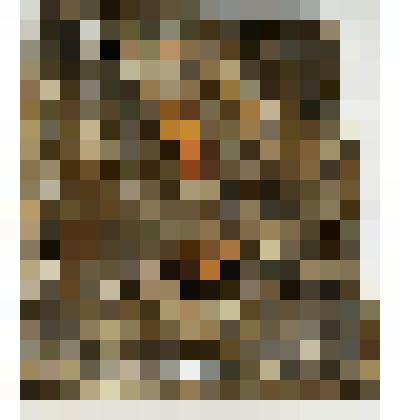 Икона Виленской богородицы 1857 г