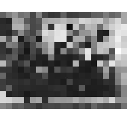 Фотография. Казаки станиц Кисляковской, Екатериновской и Уманской