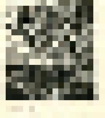 Графика. Поле у опушки