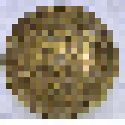 5 копеек  1955 г