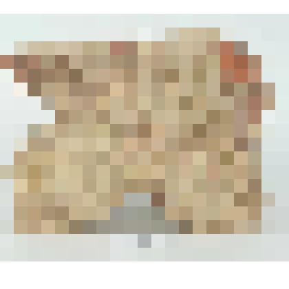 Кирпич формованный фигурный. Фрагмент