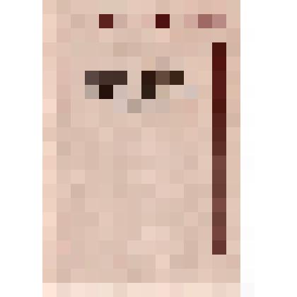 Книга. Л. Н. Толстой и русская литературно - общественная мысль