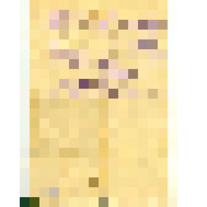 Автобиография участника ВОВ Пимонова Федора Филипповича