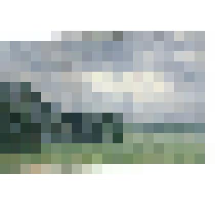 Этюд. Перелески. Бельково