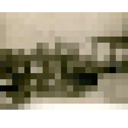 Фотография. Группа делегатов на съезд по перевыборам в Кюсюре