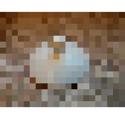 Крышка от заварного чайника