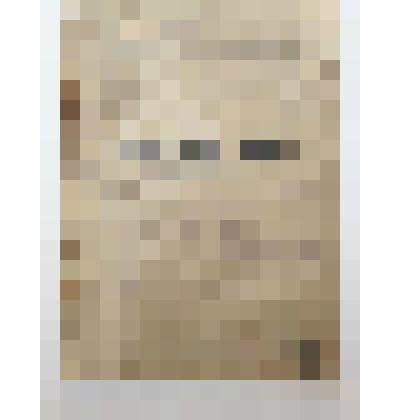 Книга. Что нужно знать леснику. Гослестехиздат