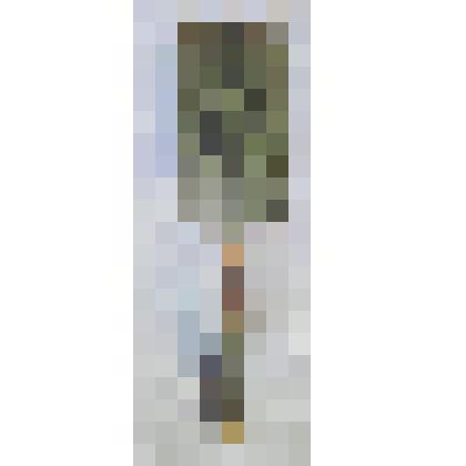 Прялка корневая с надписью, крашеная