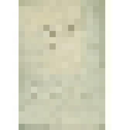 Дело Сиротского суда по опеке над имением умершего Сольвычегодского мещанина Ивана Галкина