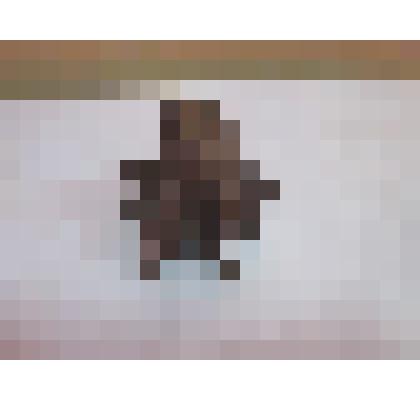 Часть от миномётного снаряда