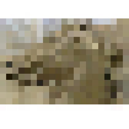 Сувенир "Голова лошади"