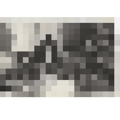 Фотография. Корюкина Валентина Владимировна с питомцами Варницкого детского сада