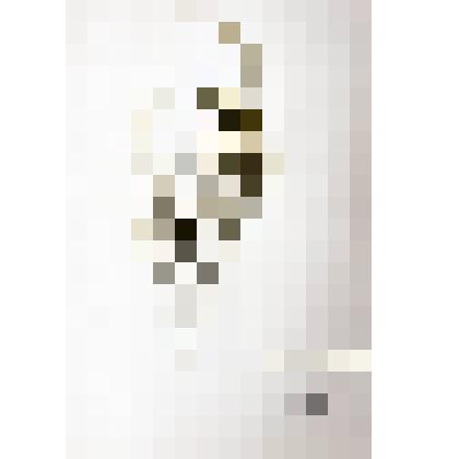 Гербарий
Спаржа